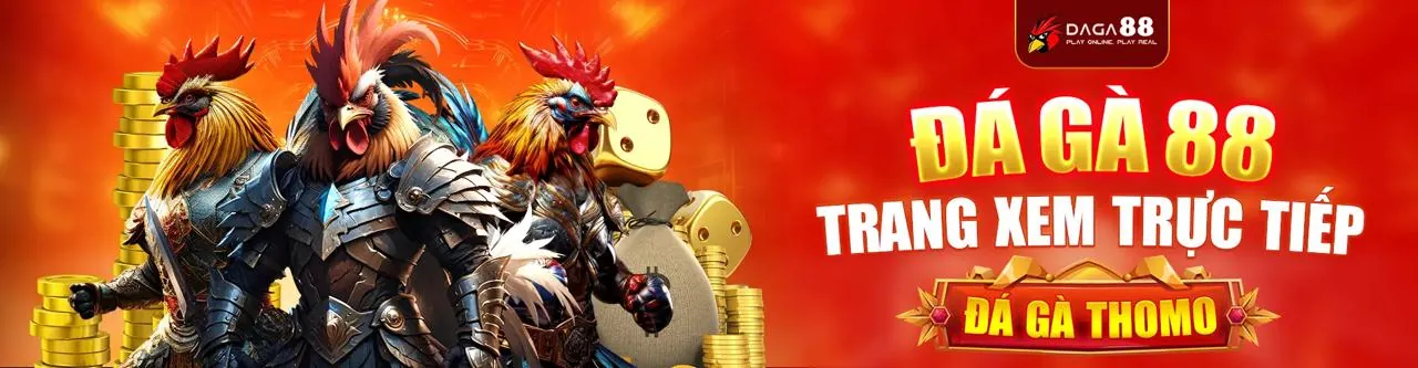 Đá Gà Trực Tuyến Sống Động tại s8b114